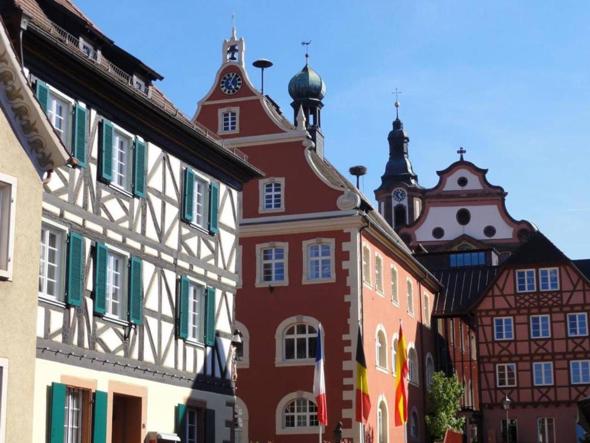 Perfekt Fuer Familien Und Gruppen Nur 10Min Vom Europapark - W6 Appartement Ettenheim Buitenkant foto